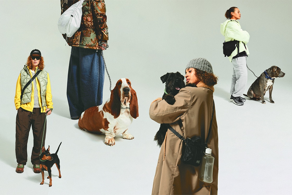 SEVEN Spotlights: Dressed Up to the Canines