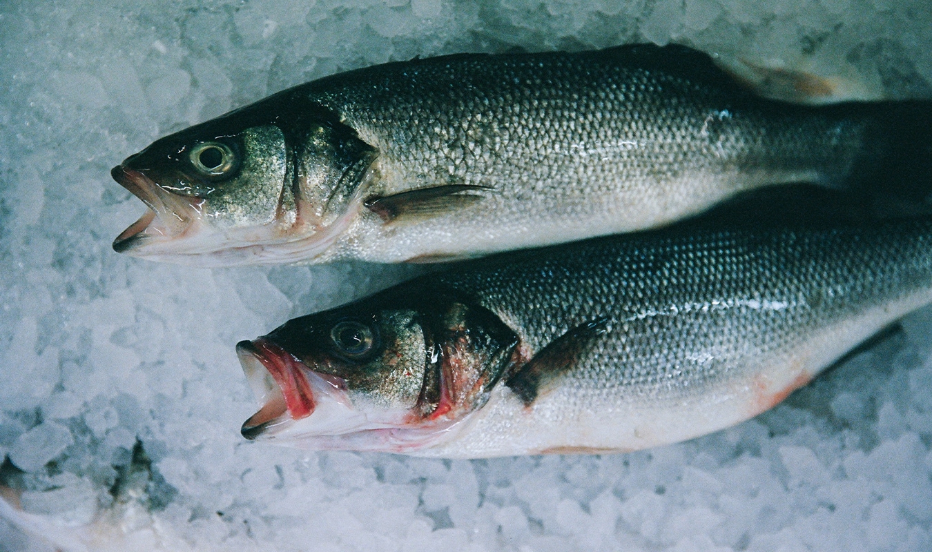 THE FISH MARKET HEROES