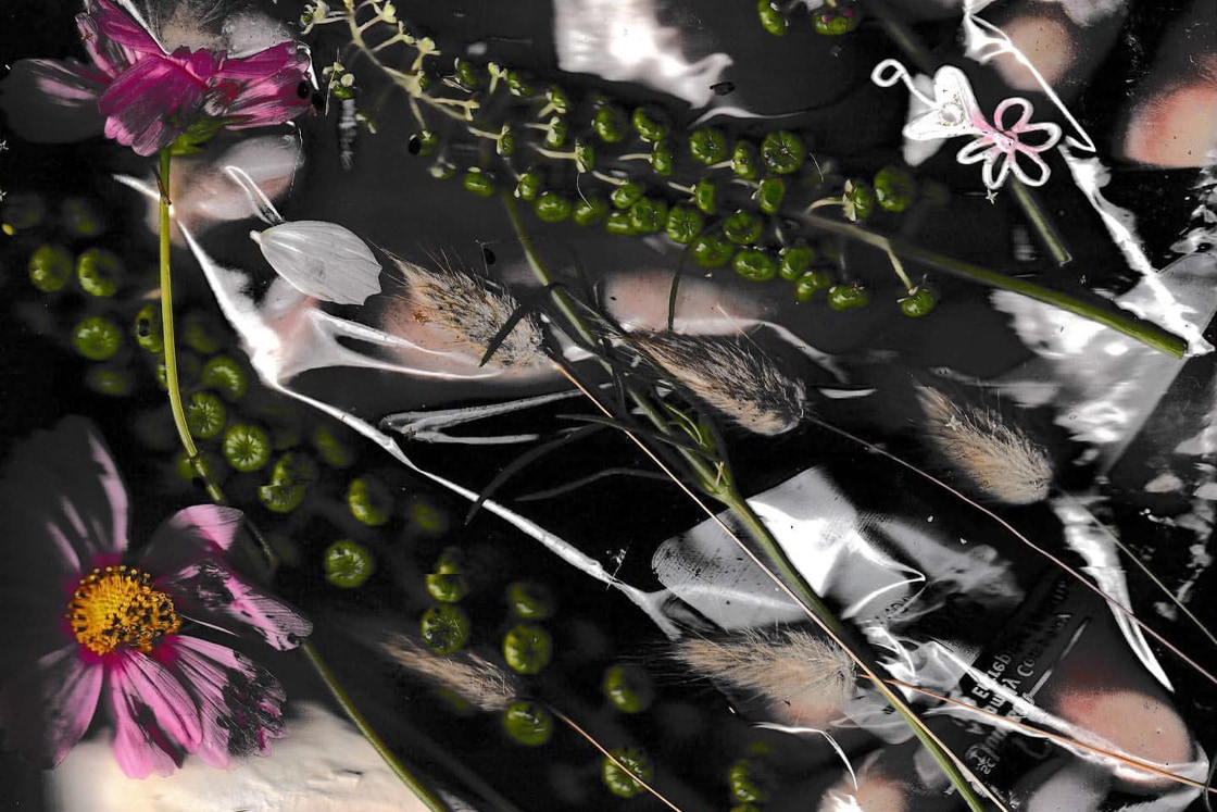 SEVEN Questions with Wretched Flowers