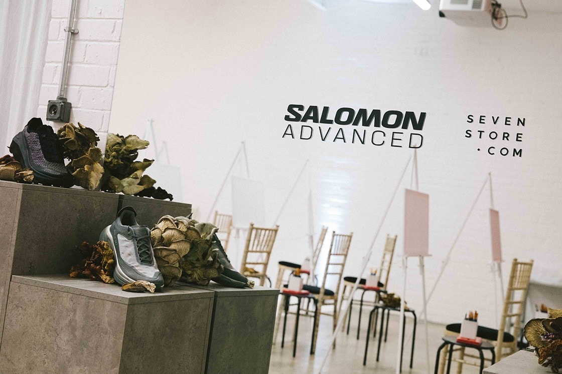 A Still Season: In Conversation with Stockport Fungi