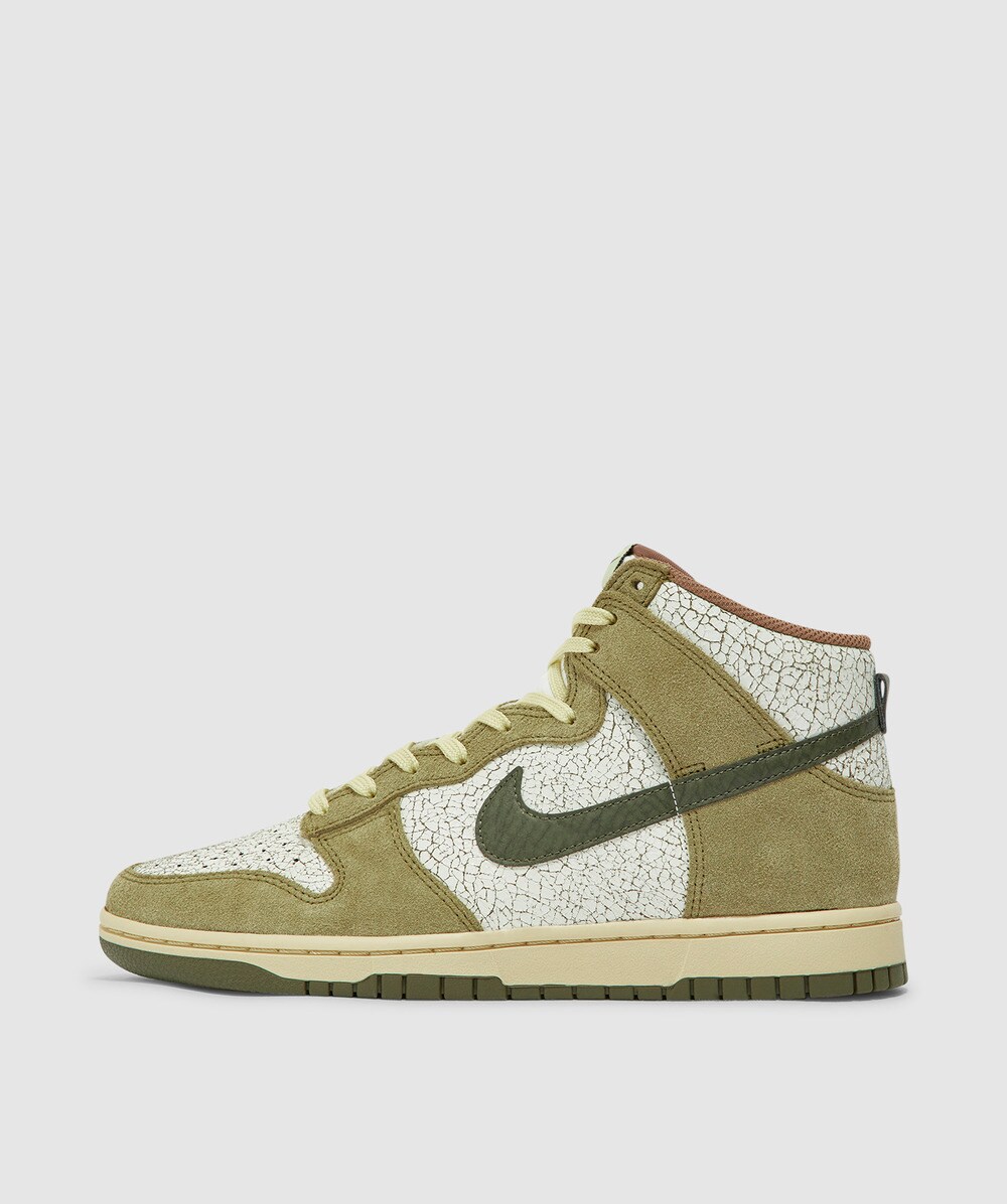 dunk hi retro