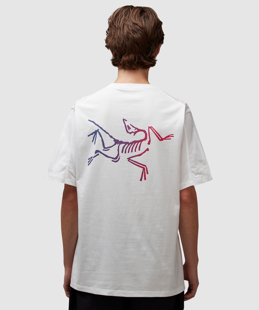 【関送無料】 ARC'TERYX Kragg logo t-shirt ロゴ Tシャツ Arc'teryx Arcteryx Kragg Logo T-shirt In White Light / Multi