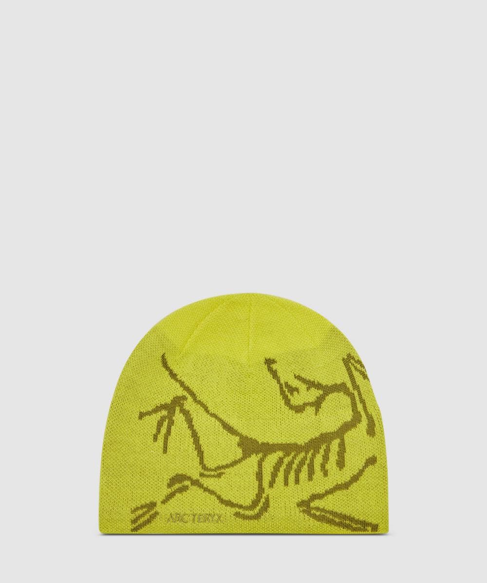 Arc'teryx Arcteryx Bird Head Toque Beanie In Green