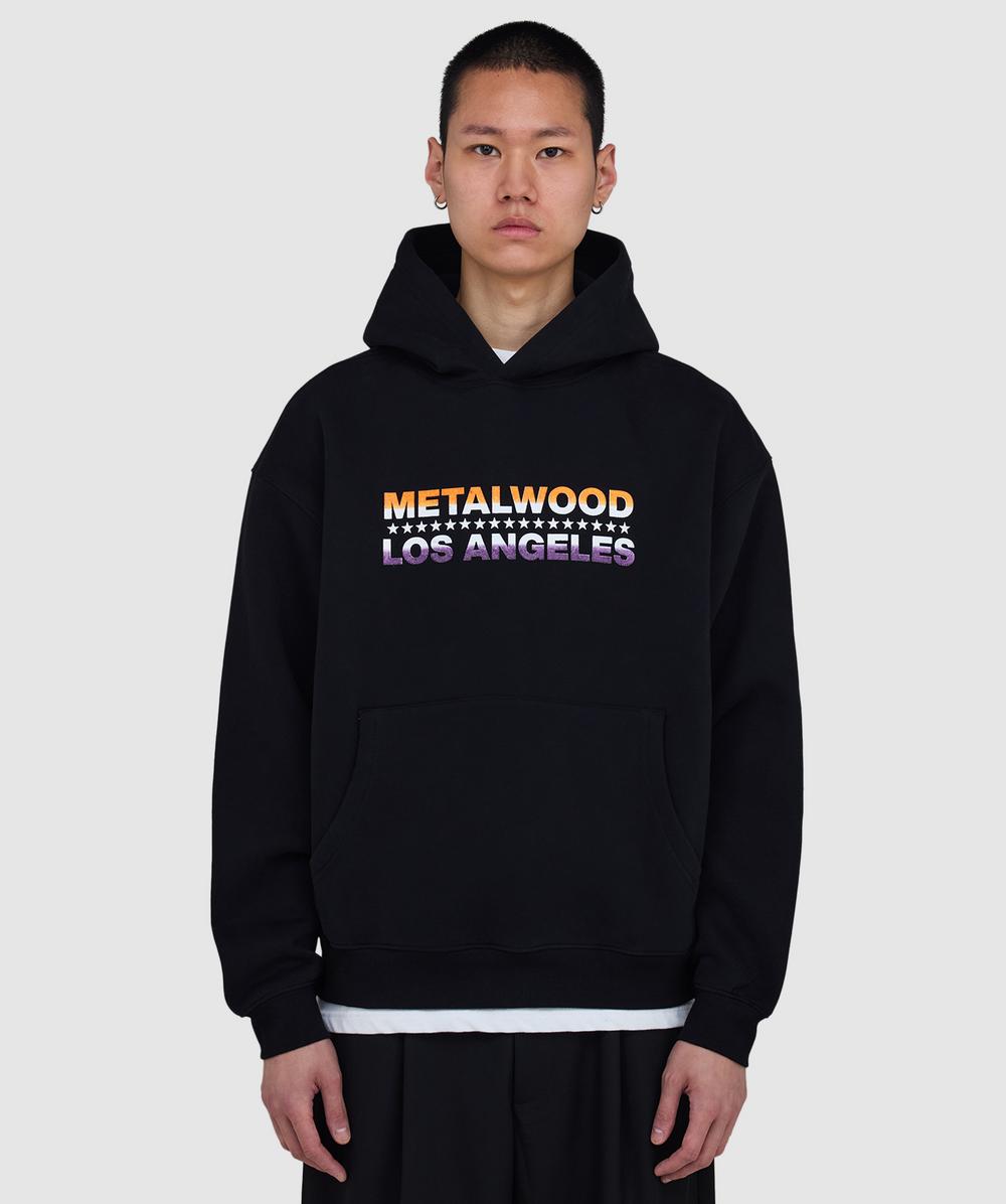 Metalwood Flyer Hoodie In Multi