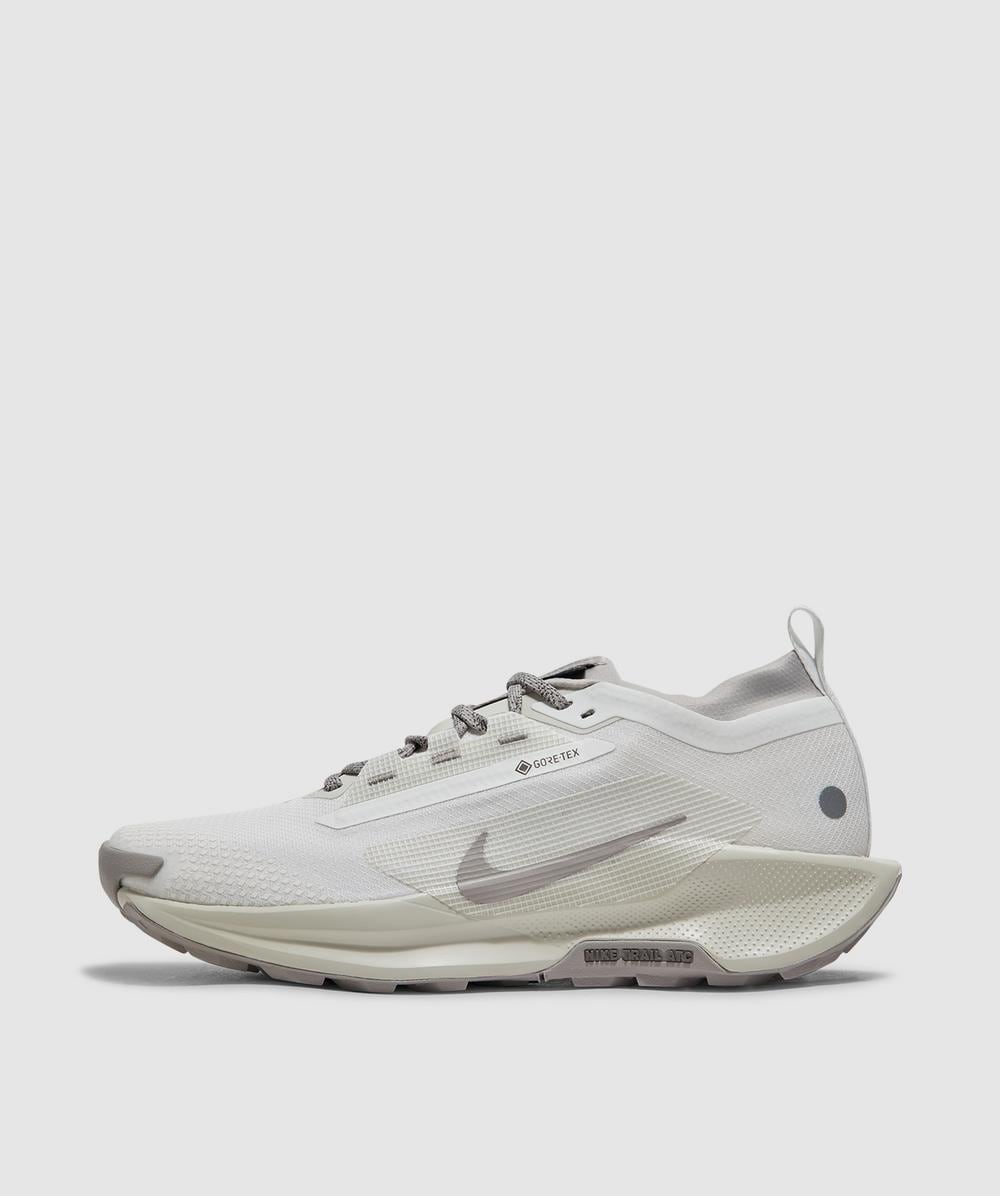 Nike Pegasus Trail 5 Gore-tex Sp Trainer