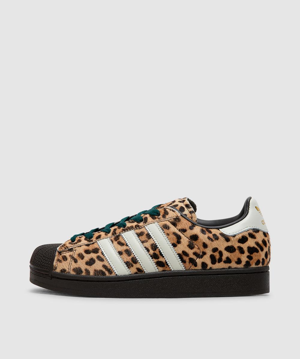 Adidas Originals Adidas Superstar Ii Sneaker In Animal Print