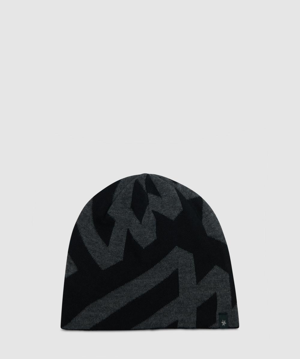 Goldwin Big Logo Beanie In Black
