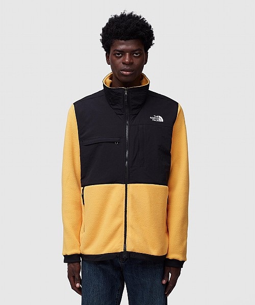 the north face denali 1