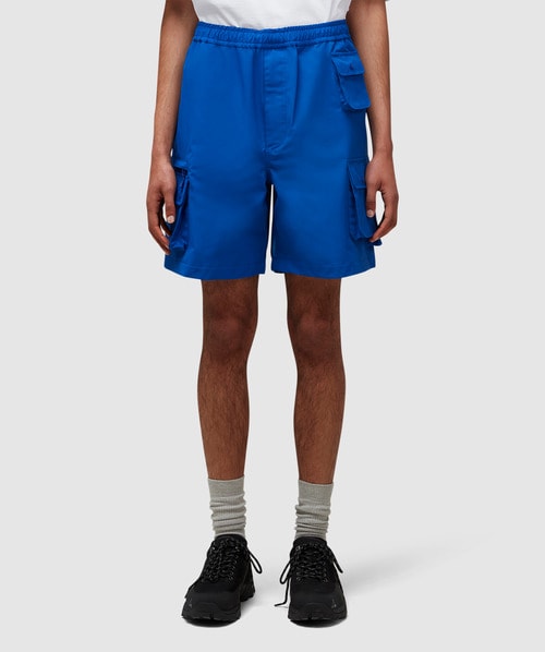 Daiwa Tech Hiker Mountain Gore-tex Shorts In R/blue