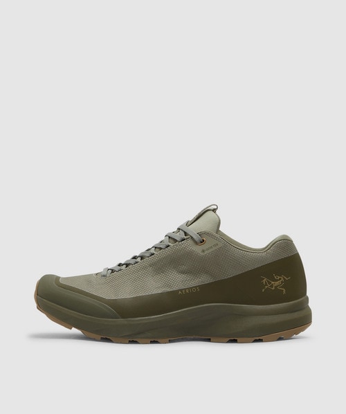 Arc'teryx Aerios Fl 2 Gore-tex Sneaker In Forage/tatsu