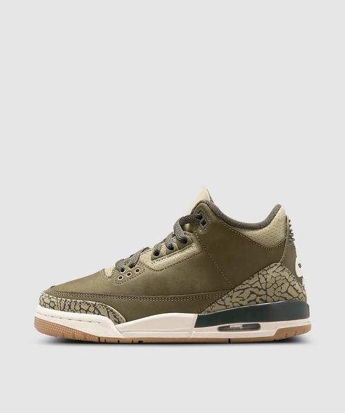 Air Jordan 3 Retro "Family Affair" sneaker