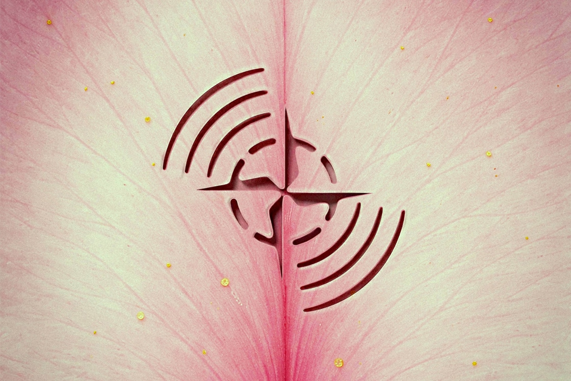 Stone Island & the Beauty of Sound